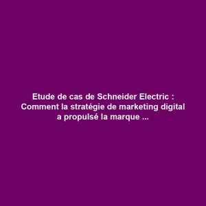 Etude de cas de Schneider Electric : Comment la stratégie de marketing digital a propulsé la marque vers le succès Etude de cas de Schneider Electric : Comment la stratégie de marketing digital a propulsé la marque vers le succès